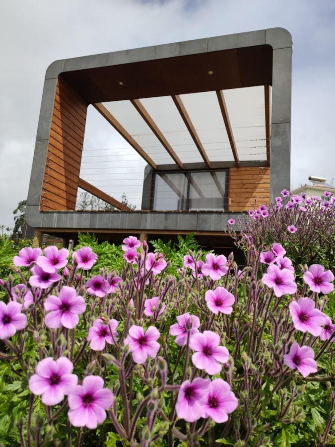 Calheta Glamping Pods - Nature Retreat Luaran gambar